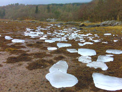 Ice blocks on the shore