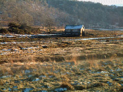 Loch Aline saltmarsh in the ice