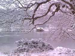 View across Loch Aline to The Boat House
