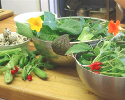 Whitehouse fresh greens