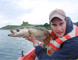 A fine fish