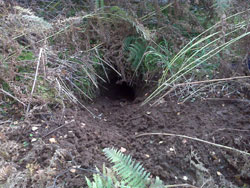 Badger Set atop the Achranich Cliffs
