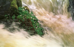 Water for recreation and power