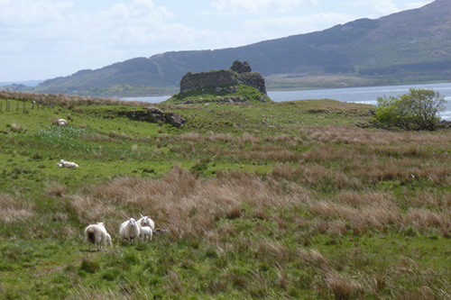 Ardtornish Castle Walk