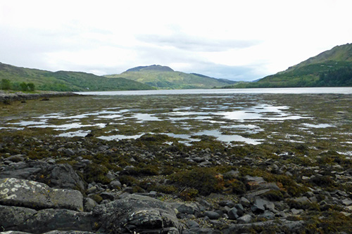 Loch Teacuis Northside Walk